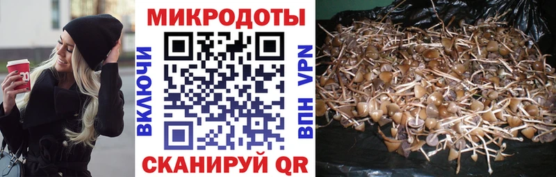 гидра tor Петухово Псилоцибиновые грибы прущие грибы